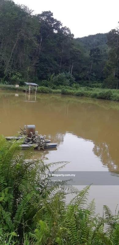 Tanah Pertanian untuk Dijual di Taman Jelebu, Kuala Klawang oleh William Ng - iProperty.com.my
