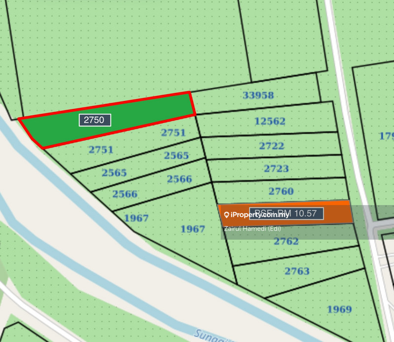 Agricultural Land for Sale in Bukit Robinson, Ijok by Zairul Hamedi (Edi) - iProperty.com.my