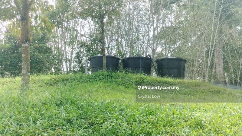 Tanah Pertanian untuk Dijual di Raub, Raub oleh Crystal Low - iProperty.com.my