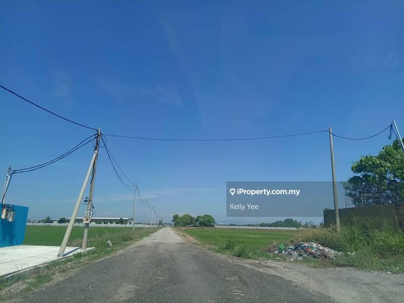 Agricultural Land for Sale in Kampung Bukit Pelanduk, Permatang Pauh by Kelly Yee - iProperty.com.my