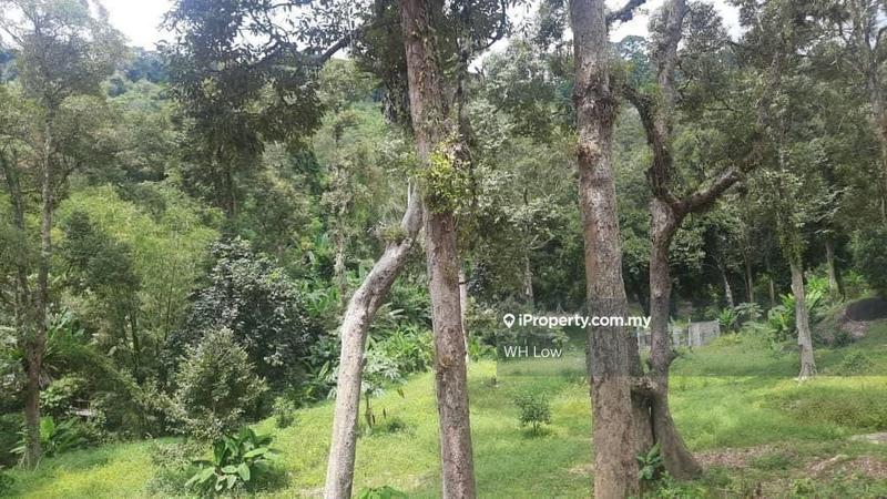 Industrial Land for Sale in Bayan Lepas, Penang, Bayan Lepas by WH Low - iProperty.com.my