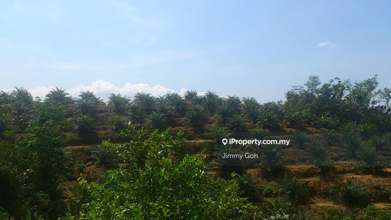 Tanah Pertanian untuk Dijual di Kerling, Kerling oleh Jimmy Goh - iProperty.com.my