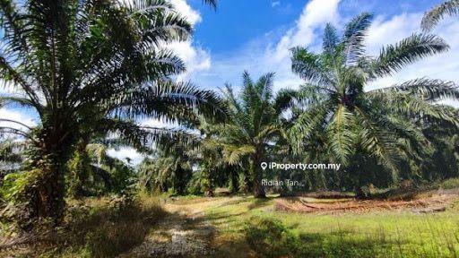 Tanah Pertanian untuk Dijual di Kuala Langat Agriculture Land, Banting oleh Ridian Tan - iProperty.com.my