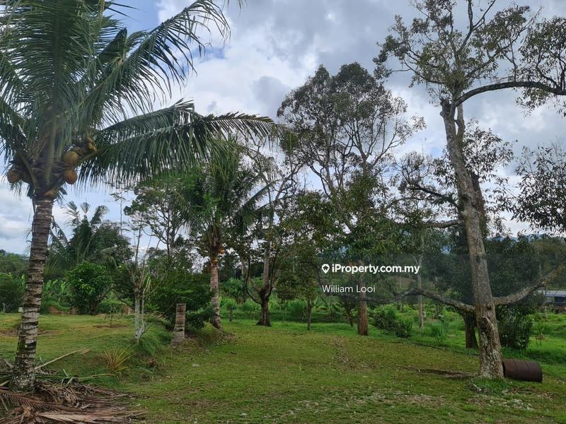 Agricultural Land for Sale in Kampung Tras, Raub by William Looi - iProperty.com.my