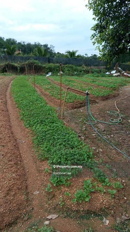 Agricultural Land for Sale in Seremban, Seremban by Rainbow Lee - iProperty.com.my