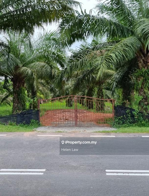 For Sale - Asahan Freehold Road Side Agriculture Land