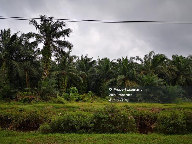 Industrial Land for Sale in puncak alam, Kuala Selangor by James Ch'ng - iProperty.com.my