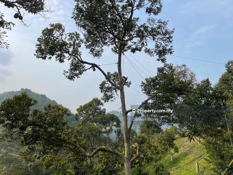 Tanah Pertanian untuk Dijual di Sungai Chetang, Raub oleh Damon Wong - iProperty.com.my