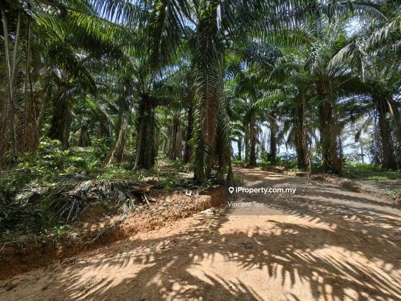 Tanah Pertanian untuk Dijual di Taman Jelebu, Kuala Klawang oleh Vincent Tee - iProperty.com.my