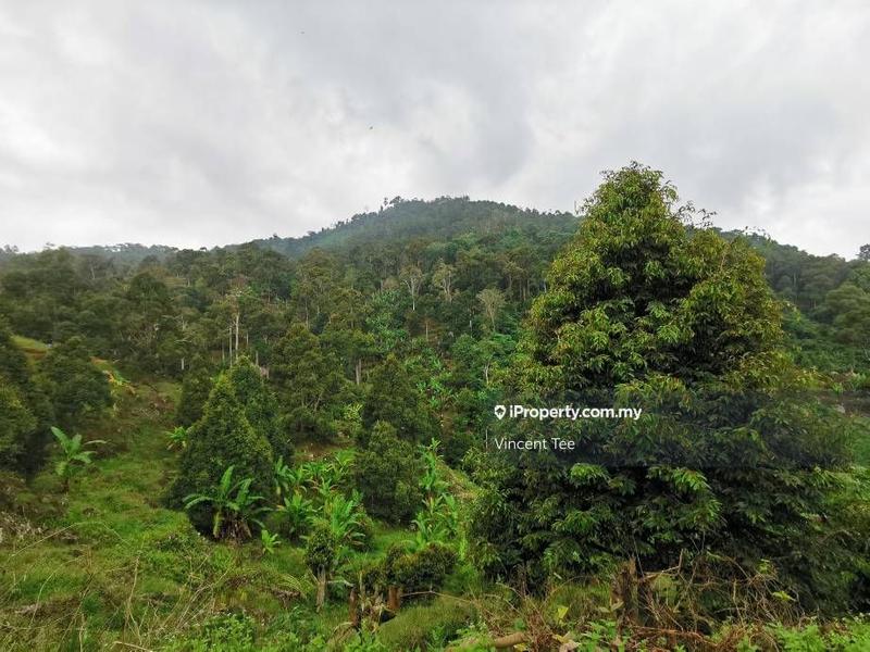 Tanah Pertanian untuk Dijual di Bukit Relau, Balik Pulau oleh Vincent Tee - iProperty.com.my