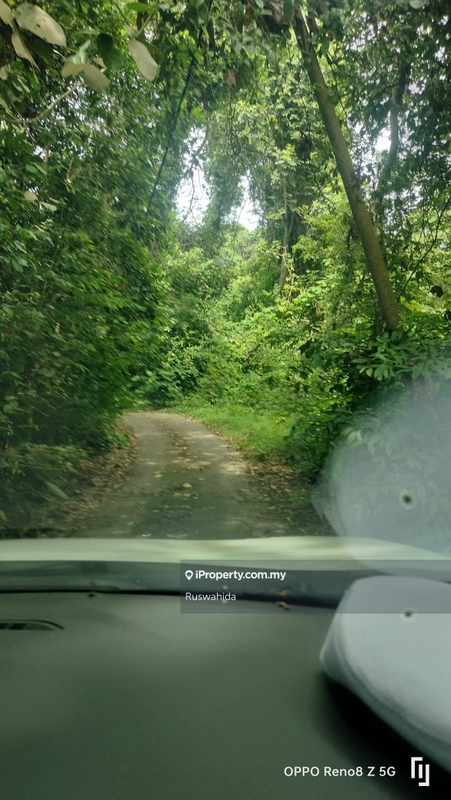 Agricultural Land for Sale in Tanjong Jaga, Yan by Ruswahida - iProperty.com.my
