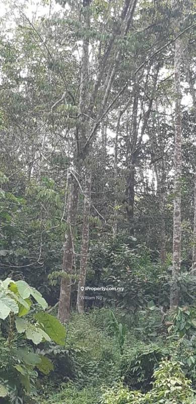 Tanah Pertanian untuk Dijual di Taman Jelebu, Kuala Klawang oleh William Ng - iProperty.com.my
