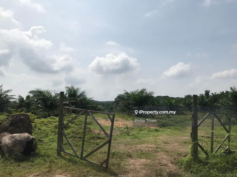Tanah Pertanian untuk Dijual di Kuala Selangor, Selangor oleh Philip Thien - iProperty.com.my