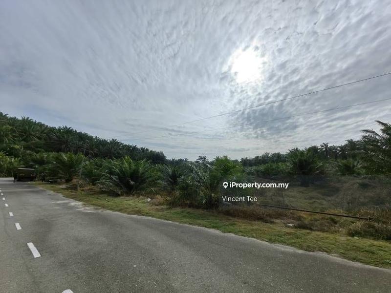 Agricultural Land for Sale in Bandar Mengkuang, Triang by Vincent Tee - iProperty.com.my