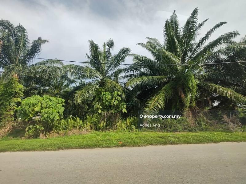 Tanah Pertanian untuk Dijual di Ladang Telok, Telok Panglima Garang oleh Agnes Ang - iProperty.com.my