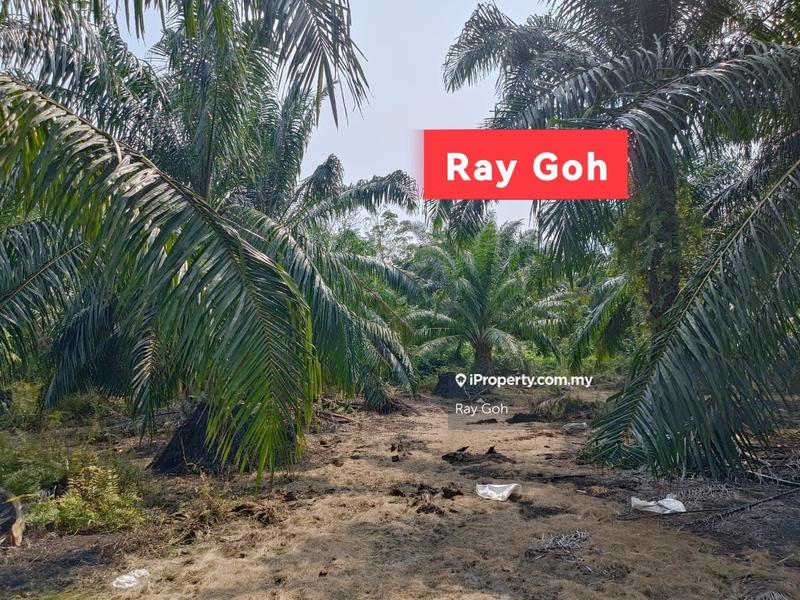 Agricultural Land for Sale in Taman Meru, Klang by Ray Goh - iProperty.com.my