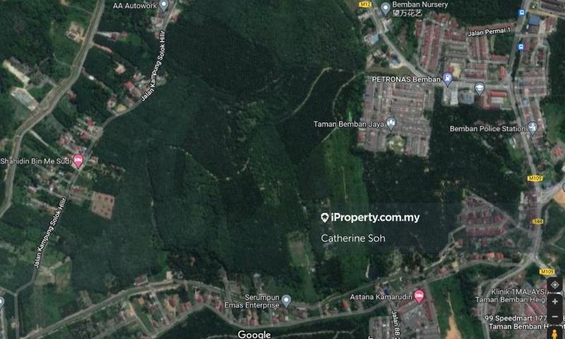 For Sale - FREEHOLD BEMBAN RUBBER LAND AGRICULTURE LAND