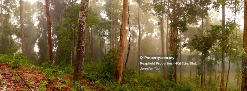 Tanarimba - where you adopt the pace of nature.