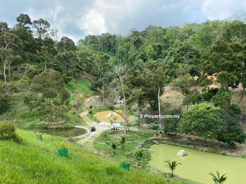 Agricultural Land for Sale in Jelebu, Titi by Sally Chang - iProperty.com.my