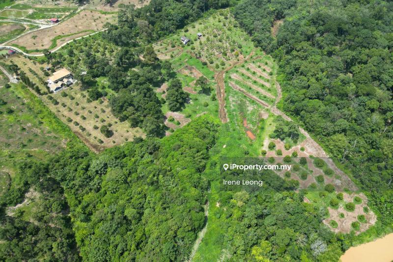 Agricultural Land for Sale in Karak, Pahang by Irene Leong - Exterior - iProperty.com.my