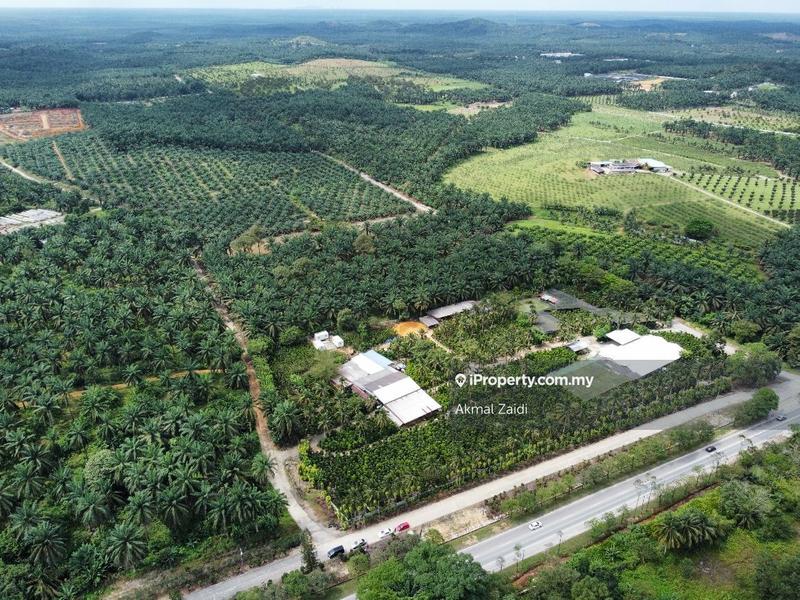 Agricultural Land for Sale in Melaka City, Melaka by Akmal Zaidi - iProperty.com.my