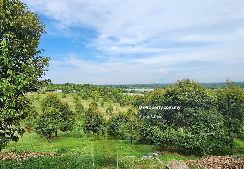Agricultural Land for Sale in Gopeng, Perak by Alexis Chee - iProperty.com.my