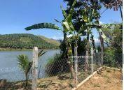 Tanah Pertanian untuk Dijual di Cameron Highlands, Pahang oleh Marie CLP - iProperty.com.my