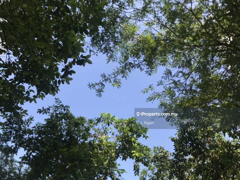 Service Residence for Rent in Jadite Suites by C L Ngan - iProperty.com.my