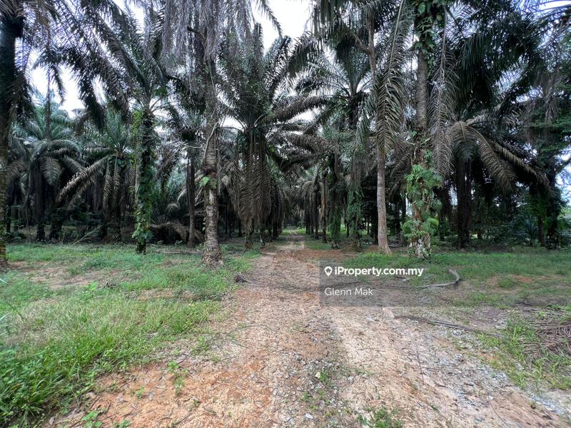 For Sale - Segamat