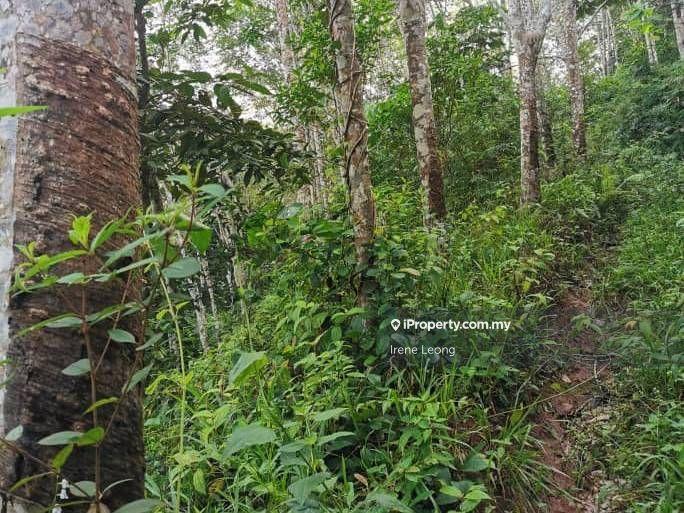 Agricultural Land for Sale in Bandar Tras, Raub by Irene Leong - iProperty.com.my