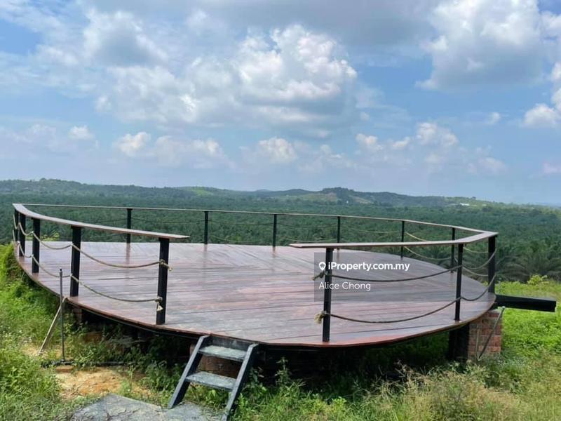 Agricultural Land for Sale in Kota Tinggi, Kota Tinggi by Alice Chong - iProperty.com.my