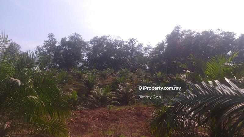 Tanah Pertanian untuk Dijual di Kerling, Kerling oleh Jimmy Goh - iProperty.com.my