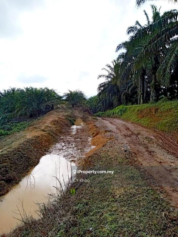 Tanah Pertanian untuk Dijual di Kelantan Gua Musang Ulu Nenggiri, Gua Musang oleh CY Khoo - iProperty.com.my