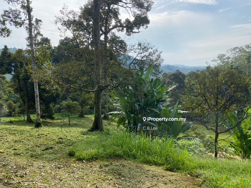 Residential Land for Sale in Broga, Lenggeng by C.B.Lee - iProperty.com.my
