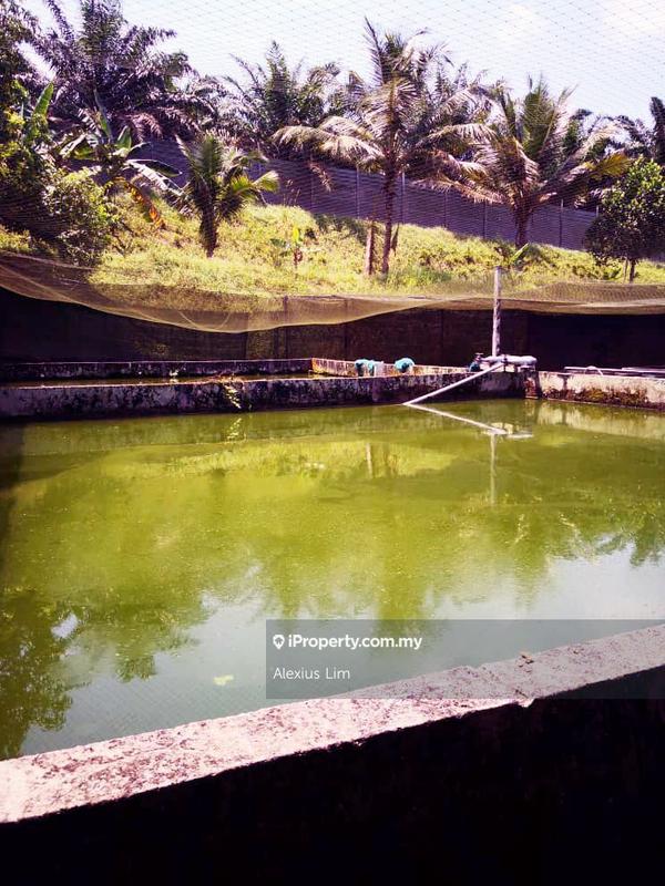 Agricultural Land for Sale in Kulai, Kulai by Alexius Lim - iProperty.com.my
