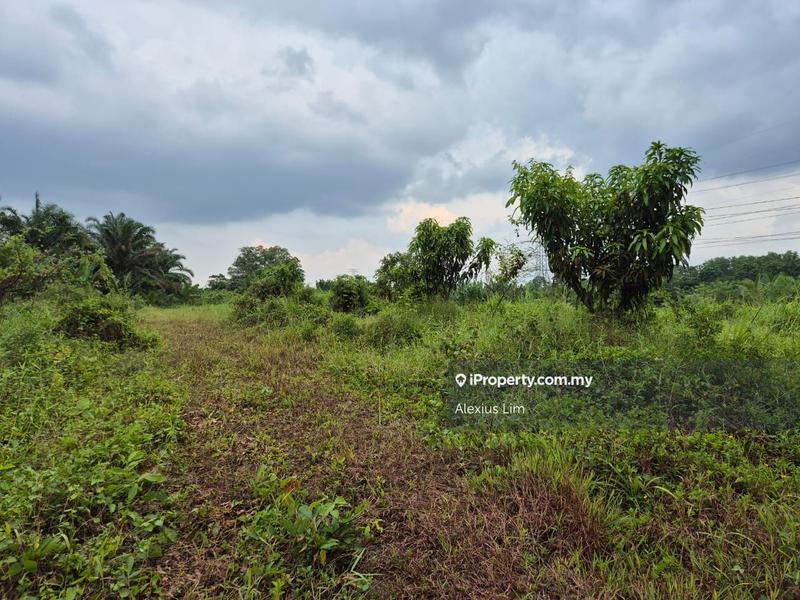 For Sale - Agriculture land @ Taman Mutiara Utama