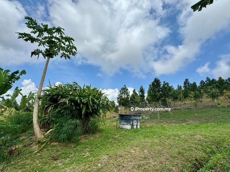 Tanah Pertanian untuk Dijual di Senai, Johor oleh Jessie Tan - iProperty.com.my