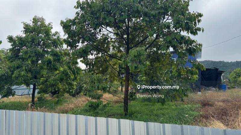 Agricultural Land for Sale in Sungai Ruan, Gali by Damon Wong - iProperty.com.my
