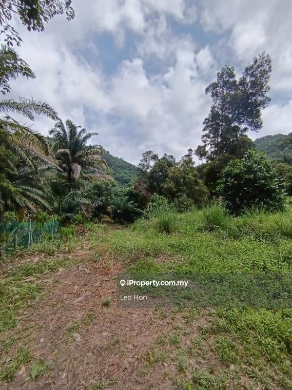 Agricultural Land for Sale in MANTIN, Seremban by Leo Hon - iProperty.com.my