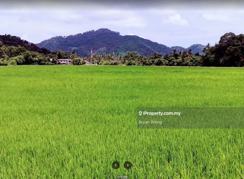 Tanah Pertanian untuk Dijual di Pulau Betong, Balik Pulau oleh Bryan Wong - iProperty.com.my