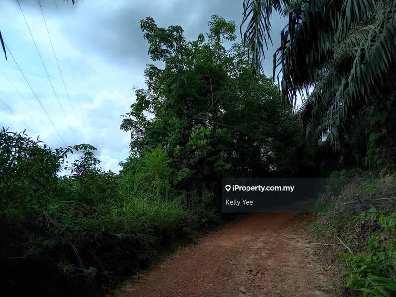 Agricultural Land for Sale in Palm Oil Plantation Along Jalan Kulim - Baling, Kulim by Kelly Yee - iProperty.com.my