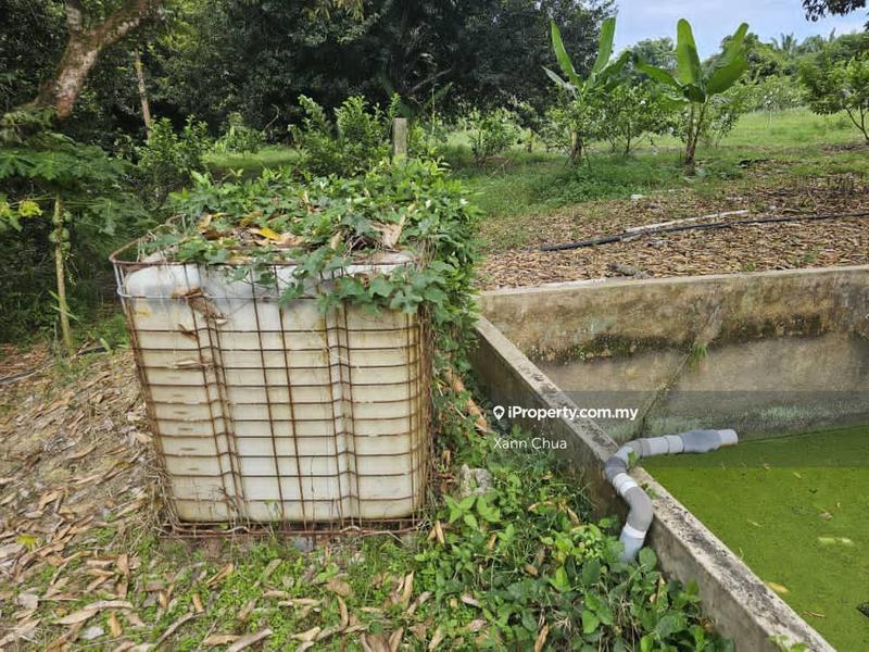 Agricultural Land for Sale in Taman Bemban Baru, Bemban by Xann Chua - iProperty.com.my