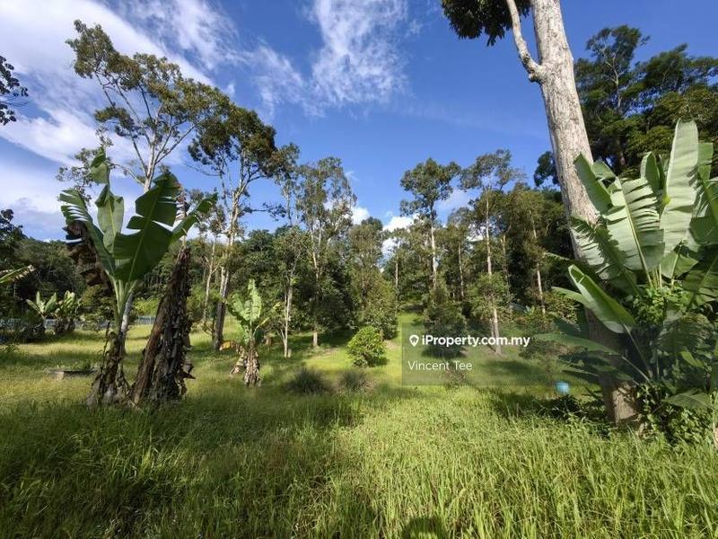For Sale - 2 Acres Freehold Durian Farm Next to River Padang Tengku Kuala Lipis Raub Bentong