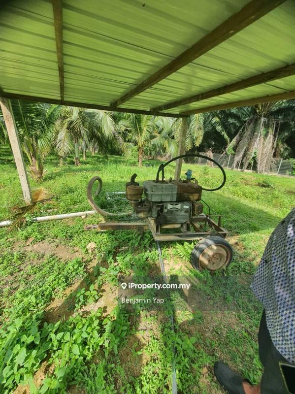 Agricultural Land for Sale in Panchor, Durian Tunggal by Benjamin Yap - iProperty.com.my