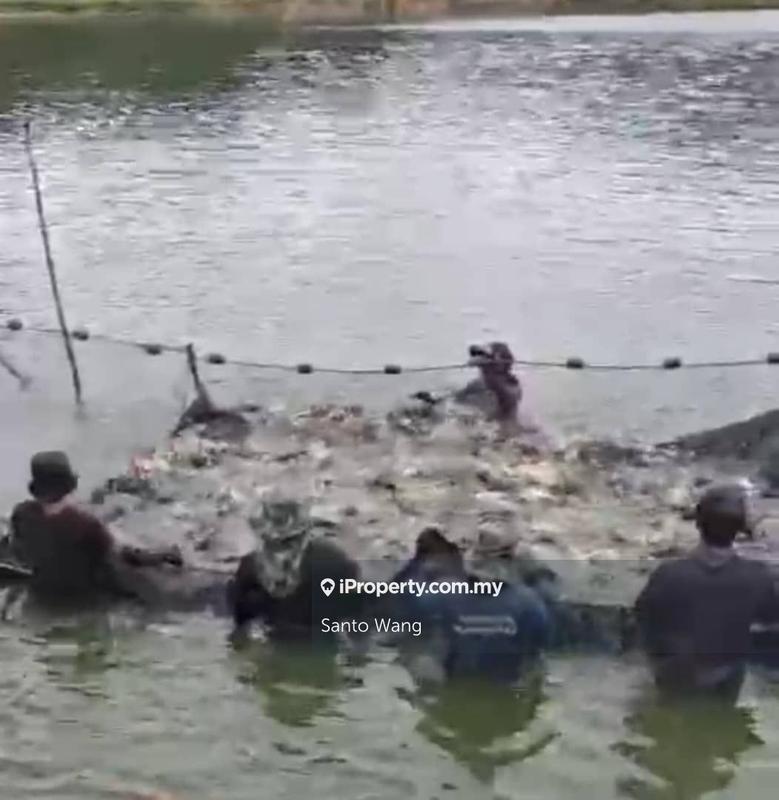 For Sale - Fish farm