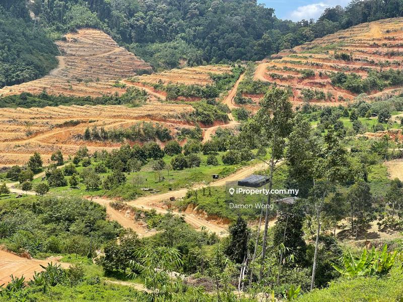 Agricultural Land for Sale in Karak, Bentong by Damon Wong - iProperty.com.my
