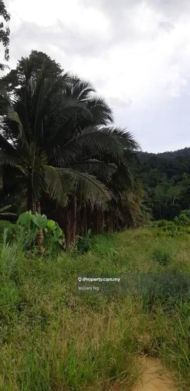 Tanah Pertanian untuk Dijual di Taman Jelebu, Kuala Klawang oleh William Ng - iProperty.com.my