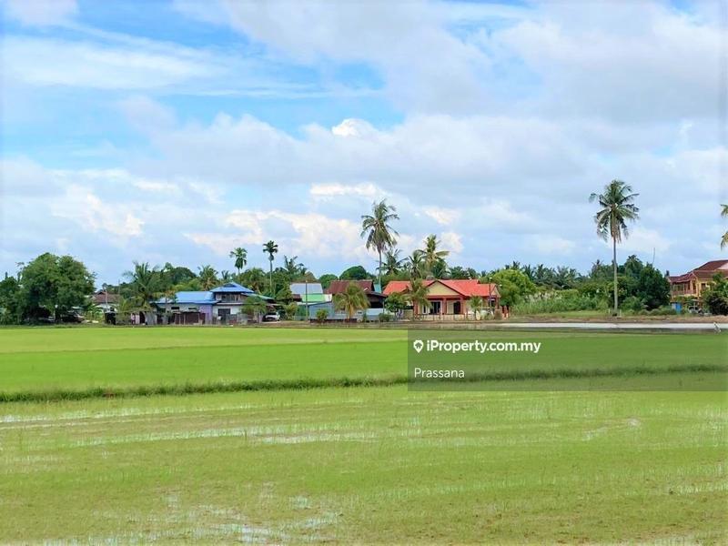 Agricultural Land for Sale in Pasir Gebu, Penaga by Prassana - iProperty.com.my