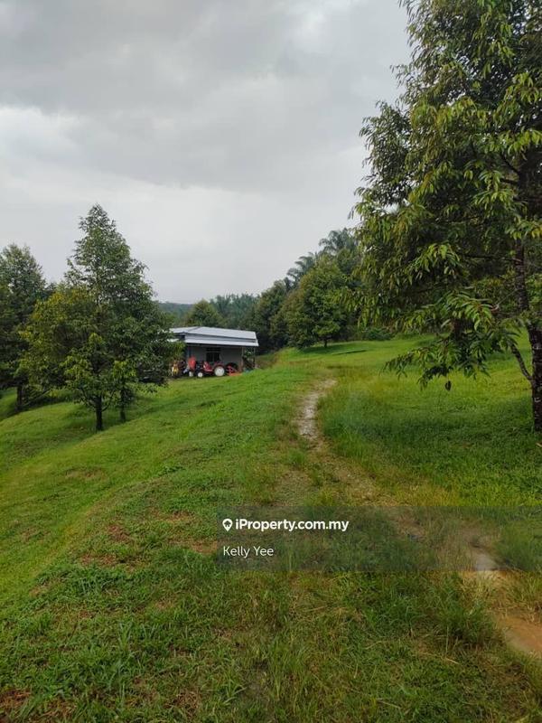 Tanah Pertanian untuk Dijual di Kampung Sungai Terap, Serdang oleh Kelly Yee - iProperty.com.my