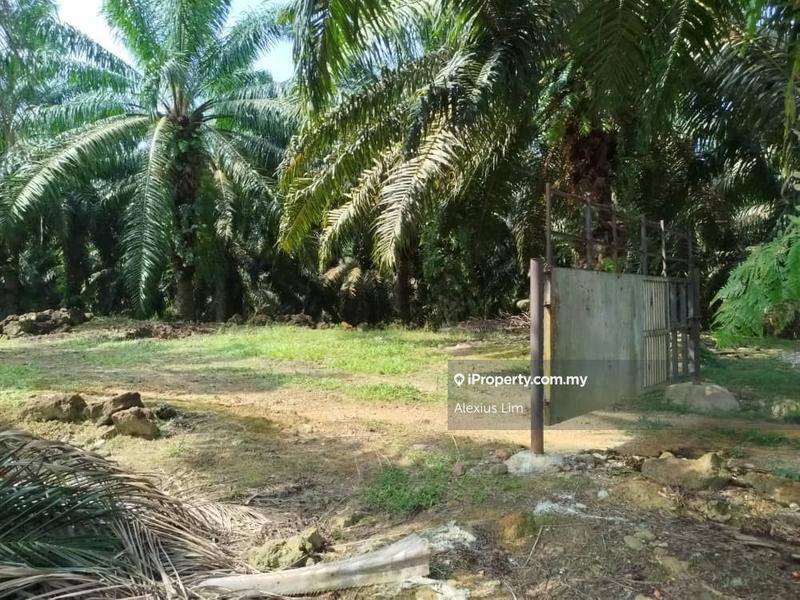 For Sale - 2pcs of 4 Acres Agricultural Land(Road Side) @ Desa Makmur, Mukim Kota Tinggi
